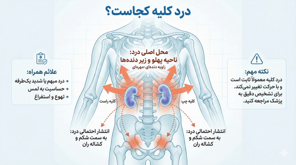 محل درد کلیه