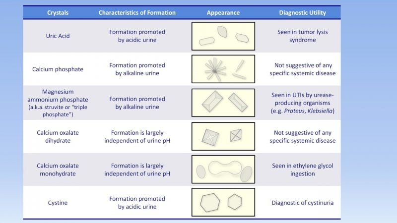 نتایج نمونه ادرار و بیماری های مرتبط