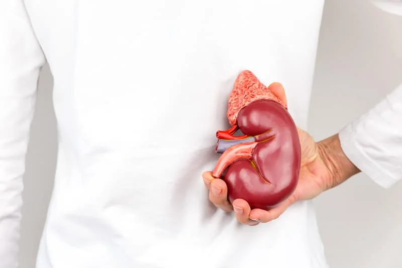 عوارض دیابت بر کلیه ها