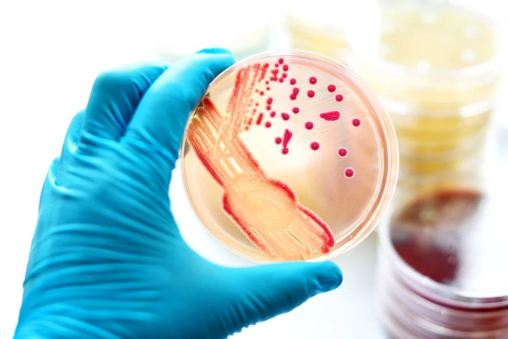 انواع HPV