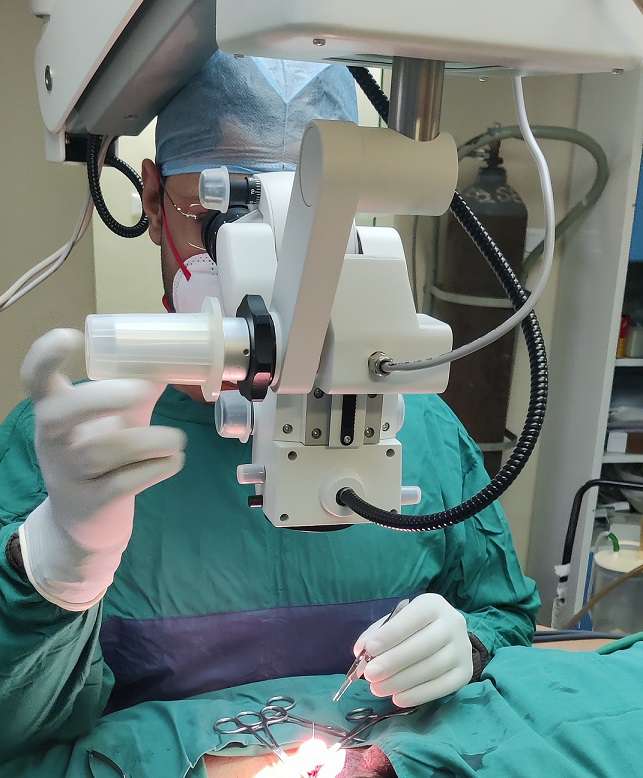 واریکوسلکتومی میکروسکوپی